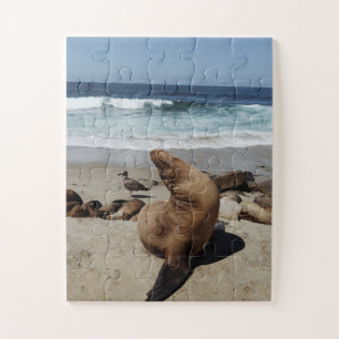 Brown Sea Lion on a Beach Jigsaw Puzzle