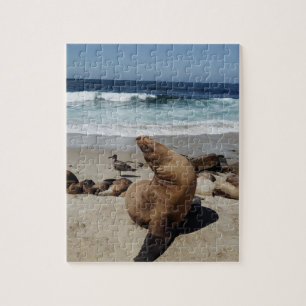 Brown Sea Lion on a Beach Jigsaw Puzzle