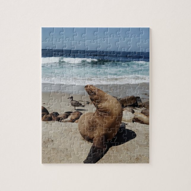 Brown Sea Lion on a Beach Jigsaw Puzzle (Vertical)