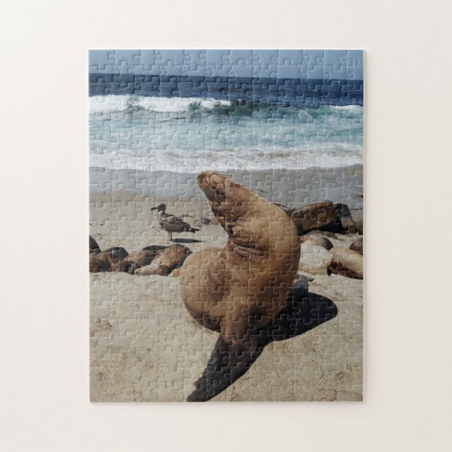 Brown Sea Lion on a Beach Jigsaw Puzzle (Vertical)