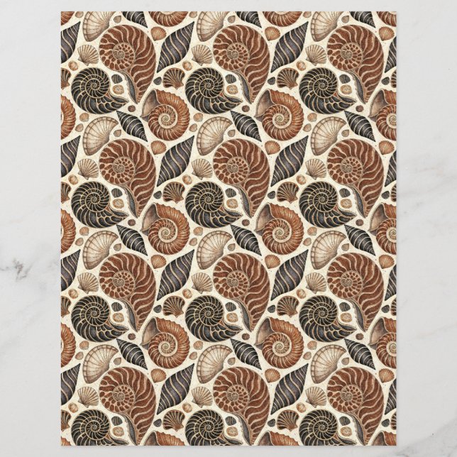 Brown Seashells double-sides scrapbook paper (Front)