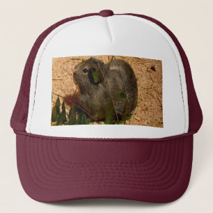 Brown Smooth Haired Guinea Pig, Trucker Hat