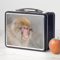 Brown Snow Monkey, Japanese Photography