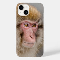 Brown Snow Monkey Photography, Japanese Wildlife