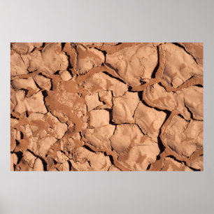 Brown soils poster