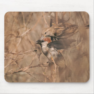 Brown Sparrow Birds Rustic Woodland Wildlife Photo Mouse Pad