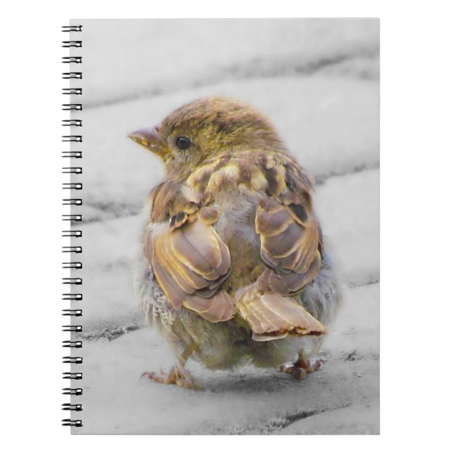 Brown Sparrow Spiral Notebook (Front)