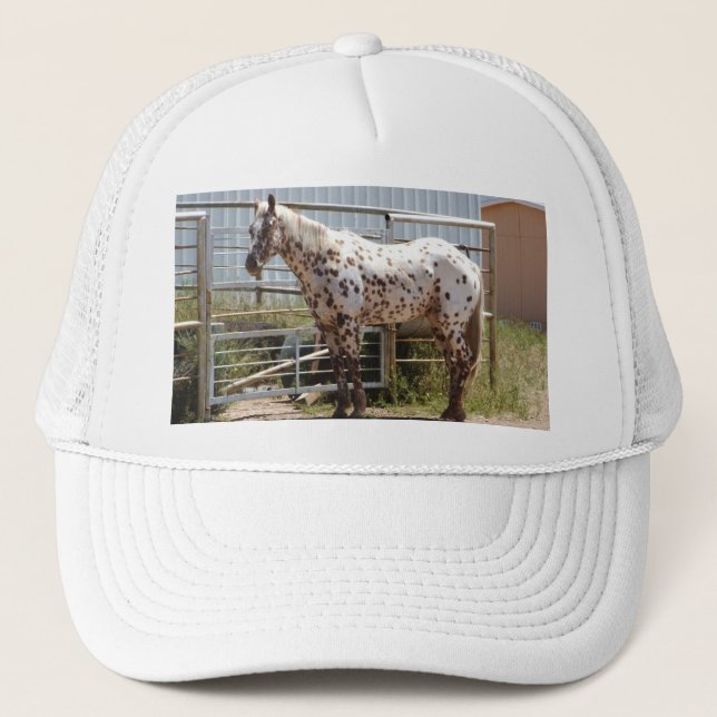 Brown spotted Appaloosa horse Trucker Hat (Front)