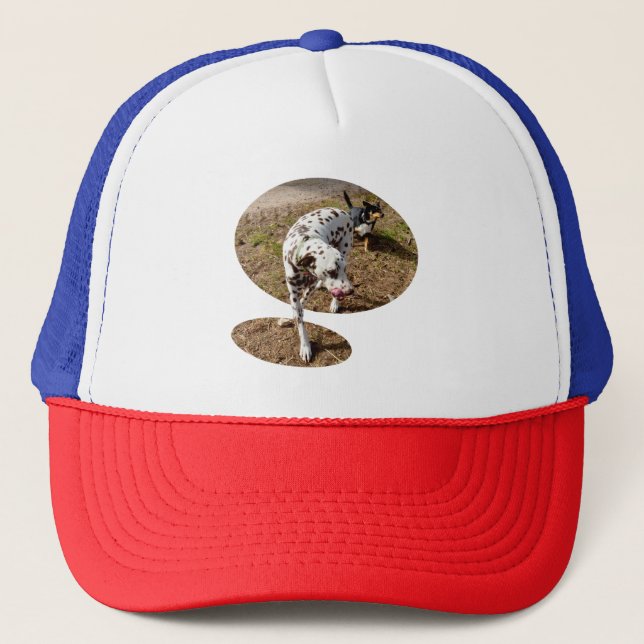 Brown Spotted Dalmatian,   Trucker Hat (Front)