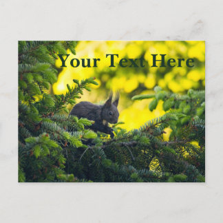 Brown Squirrel Holiday Postcard