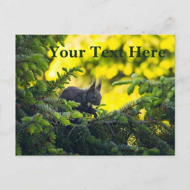 Brown Squirrel Holiday Postcard (Front)