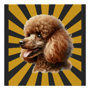 Brown Standard Poodle Retro Sunburst Poster