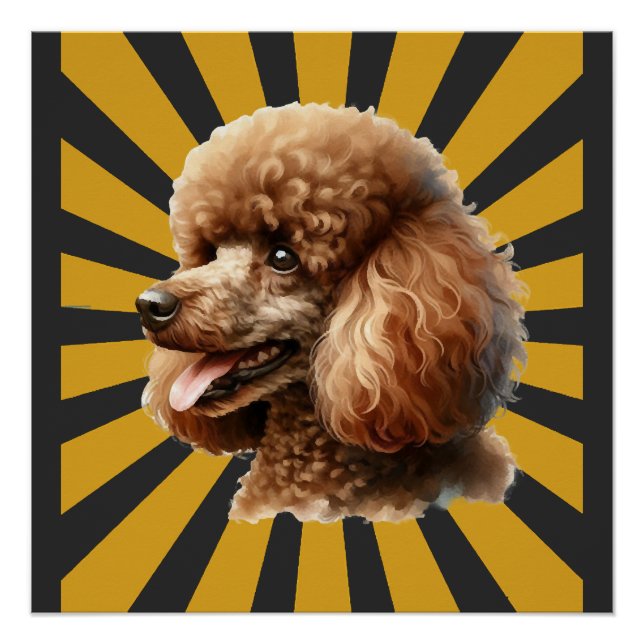 Brown Standard Poodle Retro Sunburst Poster (Front)