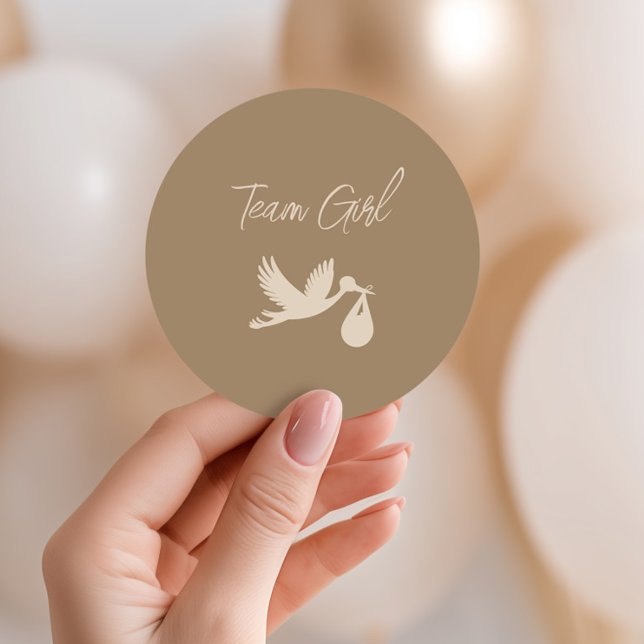 Brown Stork Baby Delivery Gender Reveal Team Girl Classic Round Sticker (Creator Uploaded)