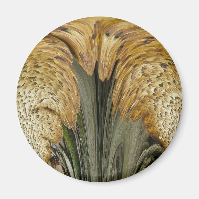 Brown Striped Shelf Fungus Coordinating Items Magnet (Front)