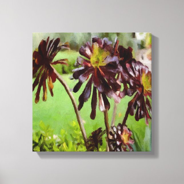 Brown Succulent Canvas Print (Front)