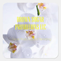 Brown Sugar Promotions LLC Stickers 01