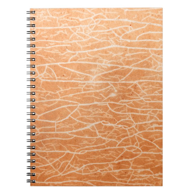 Brown surface notebook (Front)
