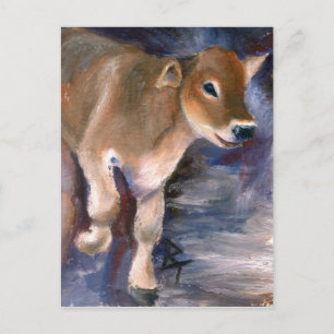 Brown Swiss Calf Postcard