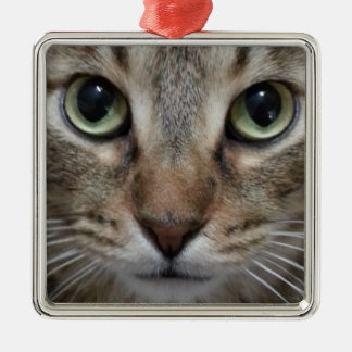 Brown Tabby Cat Metal Tree Decoration