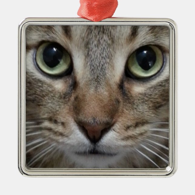 Brown Tabby Cat Metal Tree Decoration (Front)