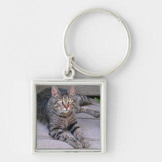 Brown Tabby Cat Outdoors Key Ring