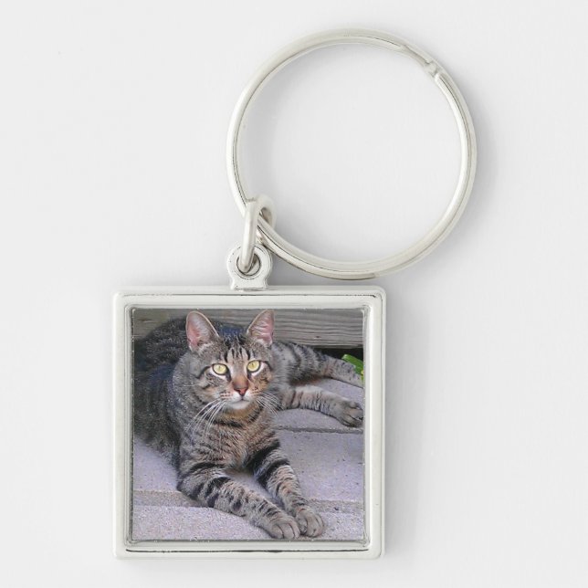 Brown Tabby Cat Outdoors Key Ring (Front)