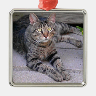 Brown Tabby Cat Outdoors Metal Tree Decoration