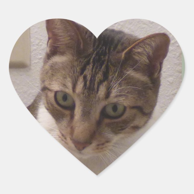 Brown Tabby Heart Stickers (Front)