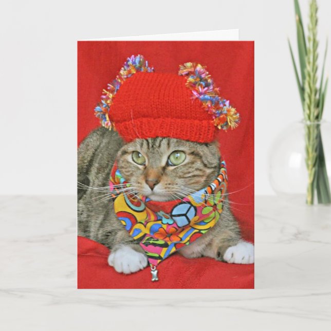 Brown tabby Hippie Valentine's or Birthday card (Front)