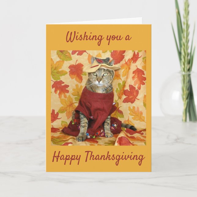 Brown tabby Thanksgiving card (Front)
