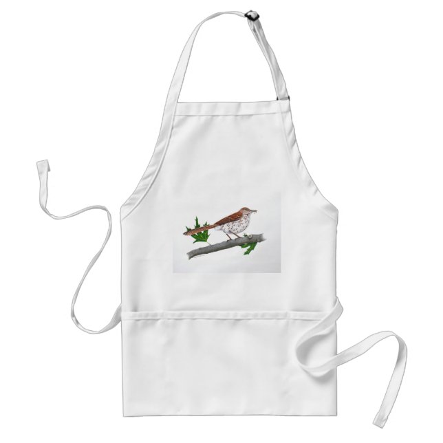 Brown Thrasher Apron (Front)