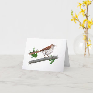 Brown Thrasher Inspirational Greeting Card