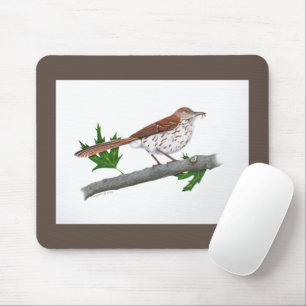 Brown Thrasher Mousepad