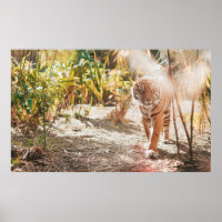 BROWN TIGER IN WALKING GESTURE