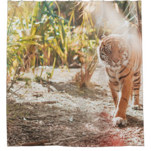 BROWN TIGER IN WALKING GESTURE SHOWER CURTAIN
