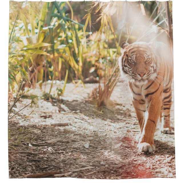 BROWN TIGER IN WALKING GESTURE SHOWER CURTAIN (Front)