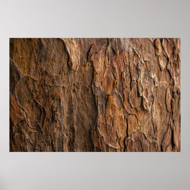 Brown tree bark in closeup photography poster (Front)