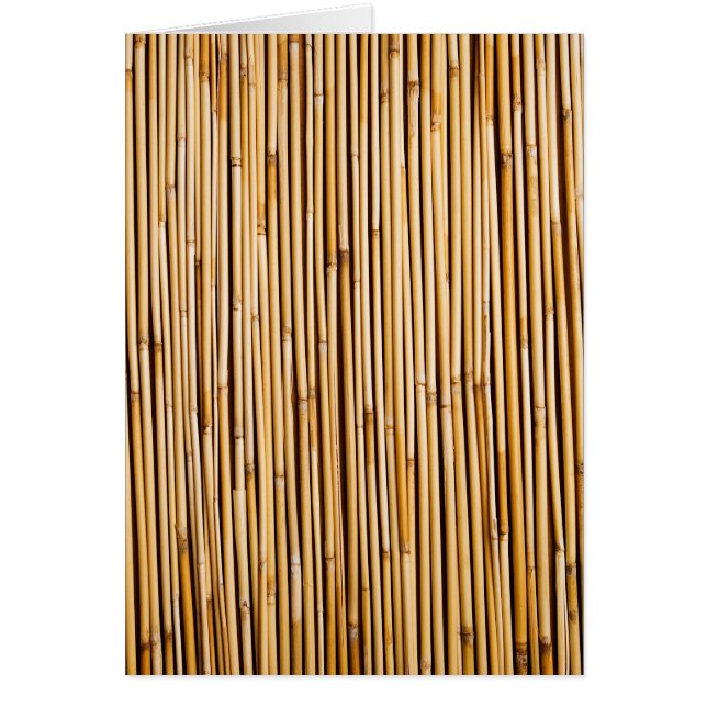 Brown Tropical Bamboo Plant Botanical (Front)