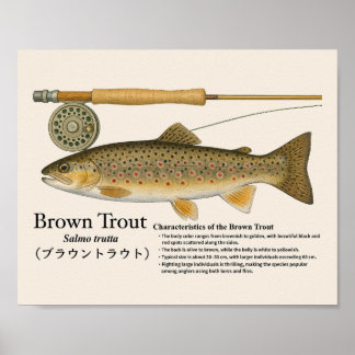 Brown Trout – English Art Print