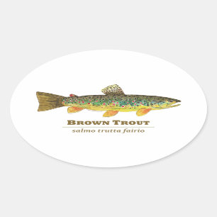 Brown Trout Latin Ichthyology Oval Sticker
