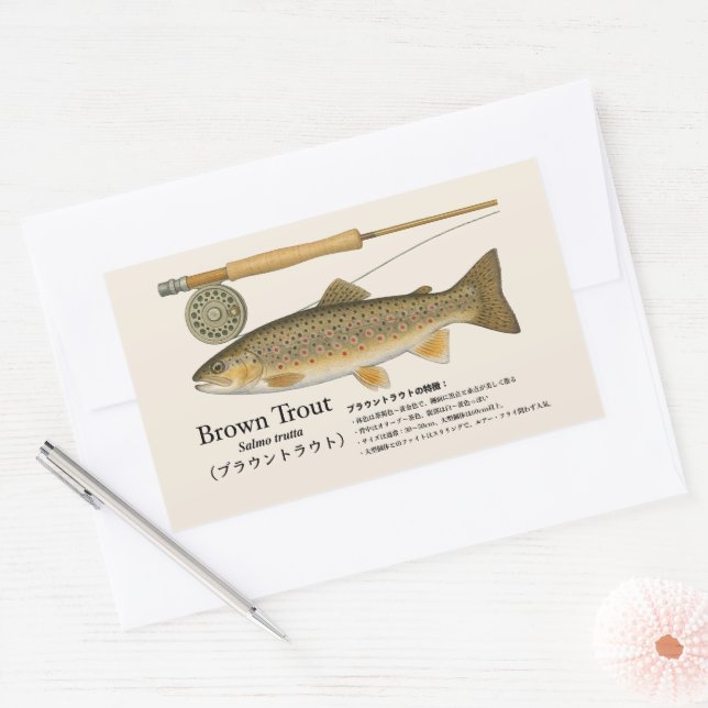 Brown Trout (Salmo trutta) – Japanese Illust Rectangular Sticker (Envelope)