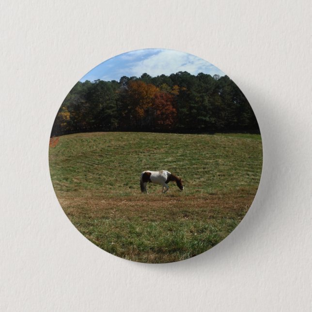 Brown & White horse 6 Cm Round Badge (Front)
