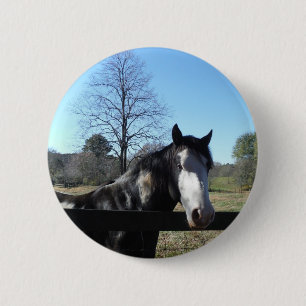 Brown &White, Painted Horse, bright blue sky 6 Cm Round Badge