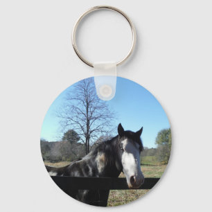 Brown &White, Painted Horse, bright blue sky Key Ring