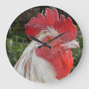 Brown White Rooster Face, Large Round Wall Clock