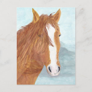 Brown Wild Horse Blue Mountain Lake - acrylic. Postcard