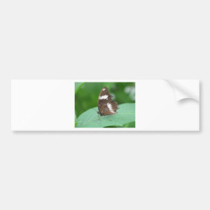 Brown with With White Flashes Butterfly Bumper Sticker
