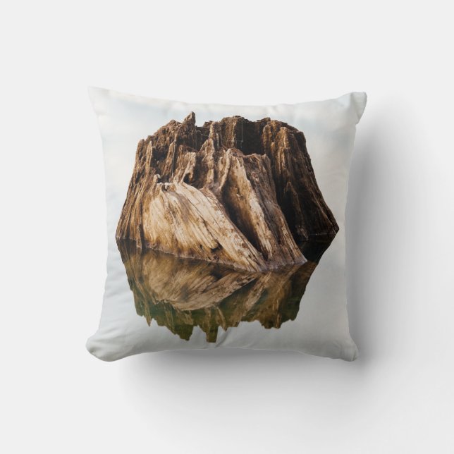 BROWN WOODEN FRAME CUSHION (Front)