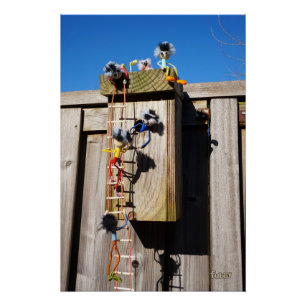 Brownbroiler birdhouse climbing fubby's poster
